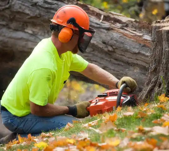 tree services Oak Valley